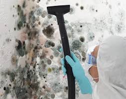 Professional Mold Removal Services in Englewood Cliffs, NJ